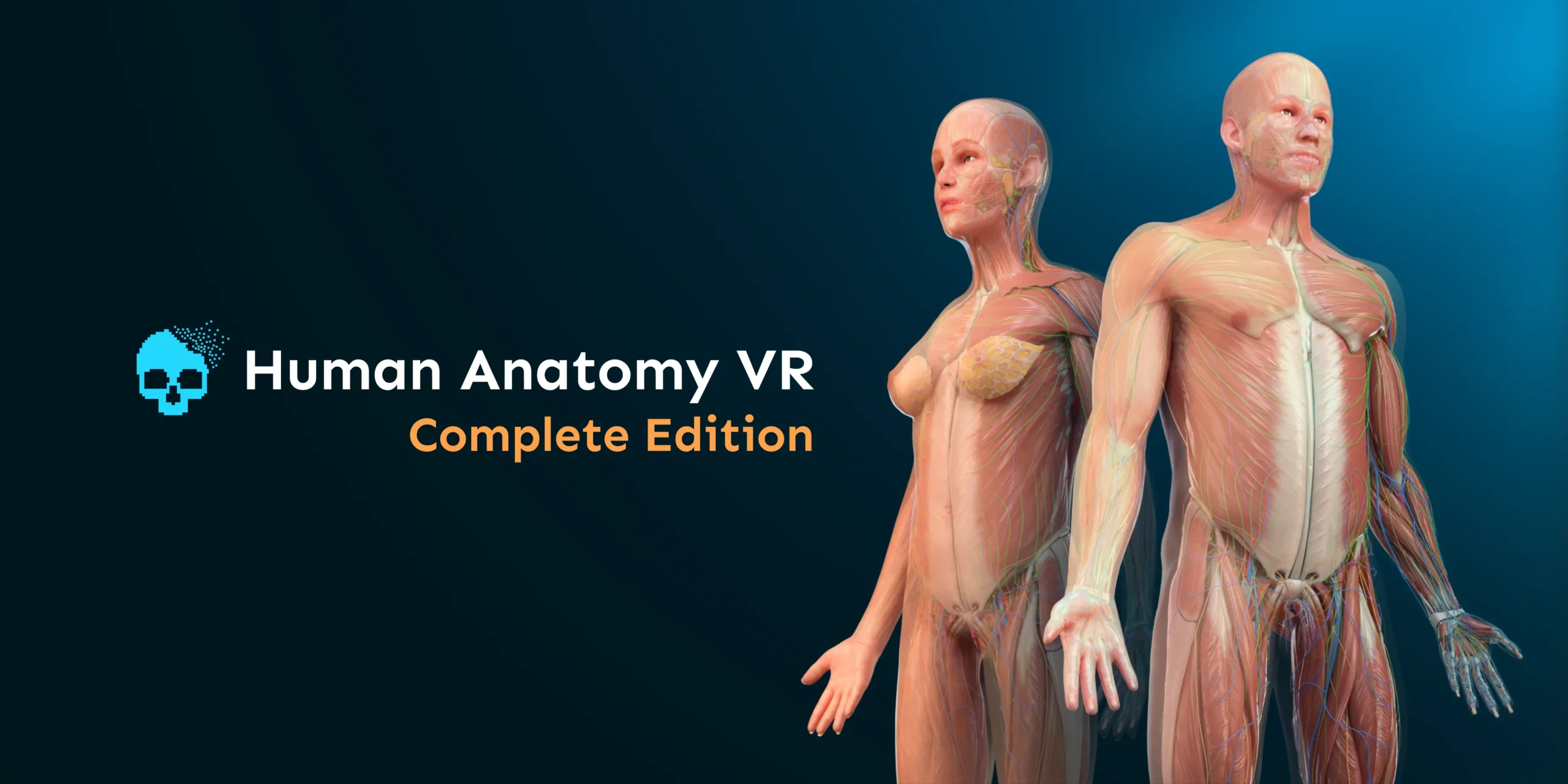 Sanal Ameliyathane: VR ile İnsan Anatomisini Keşfetmenin Yeni Yolu